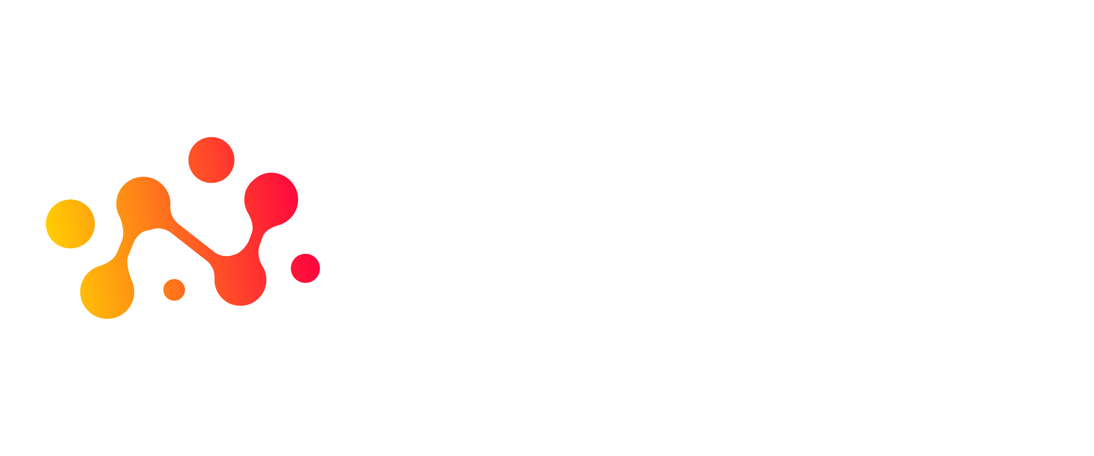 Digital Flow AS - Logo